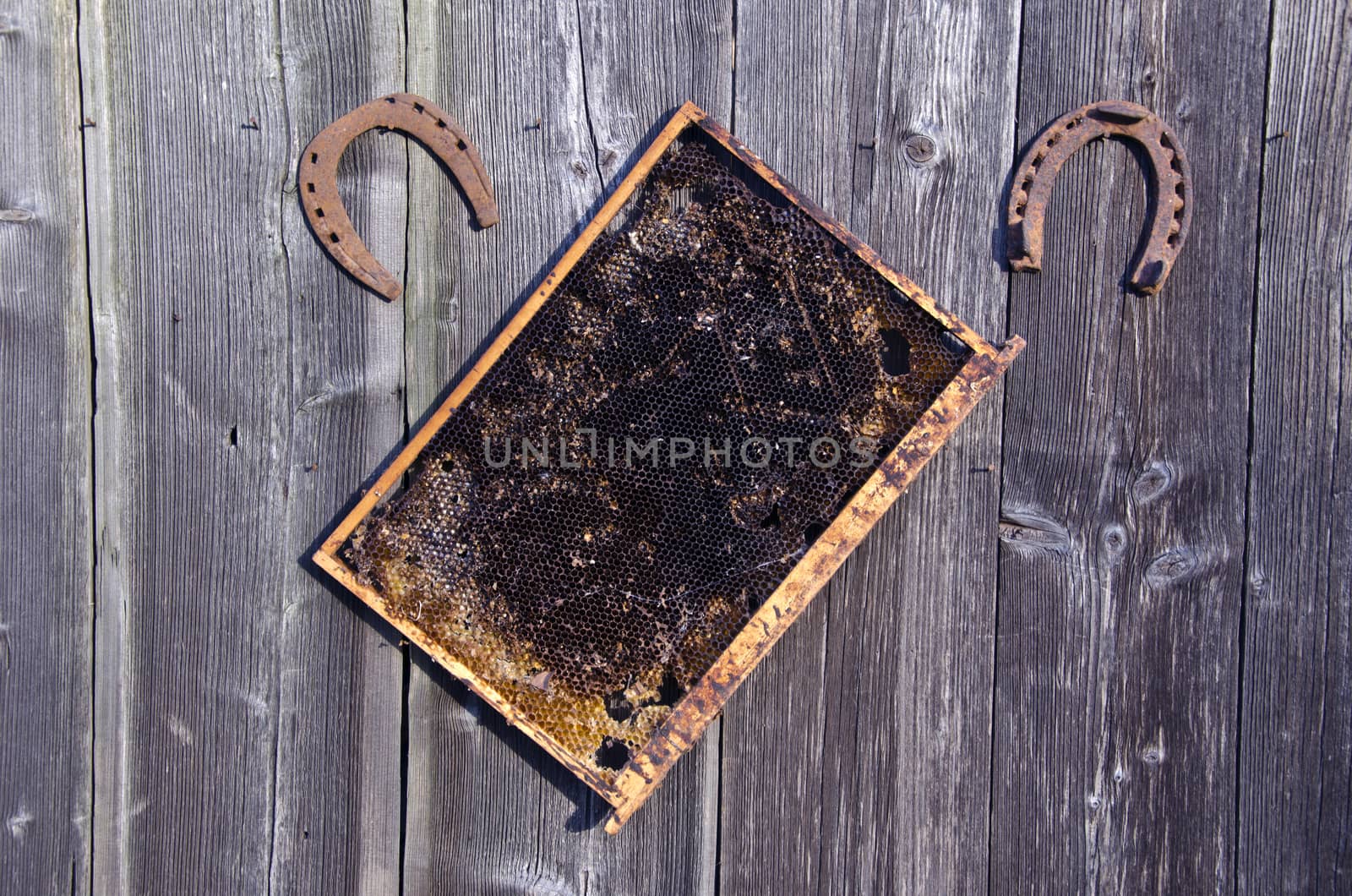 honeycomb with two lucky symbol horseshoes hanging on rustic wooden background