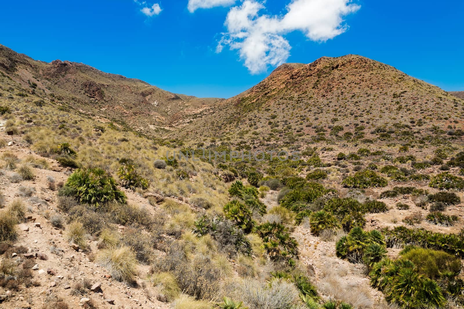 Desert near Cabo del Gata, Almeria, Spain