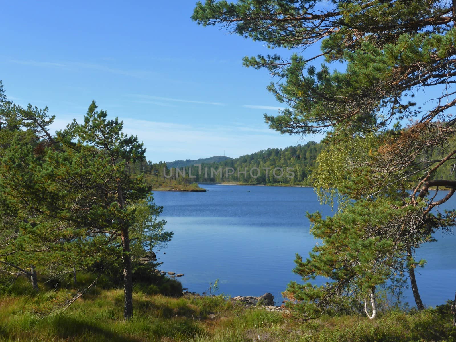 Beautiful countryside from Norway's west coast, close to the town of Molde.