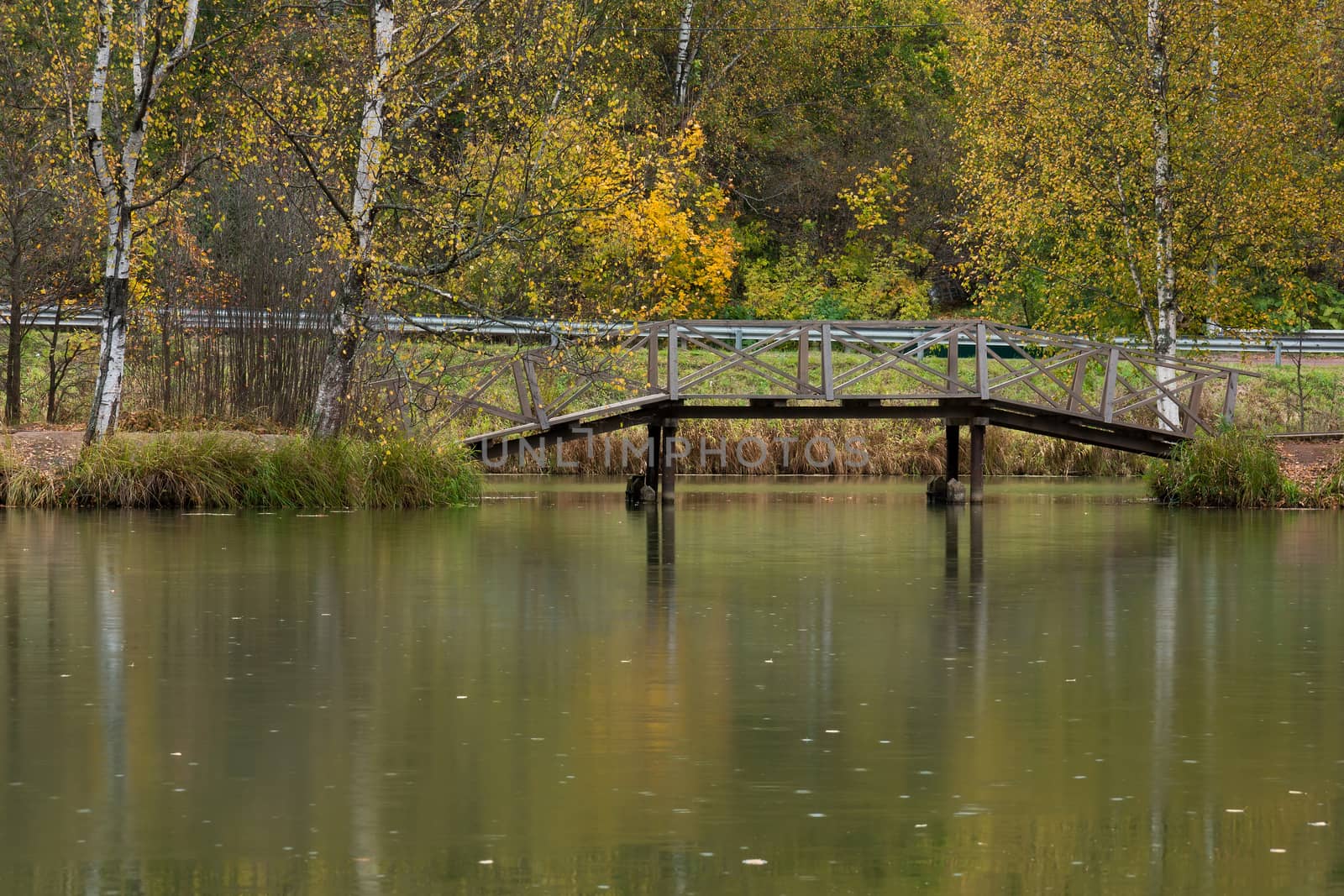 Pictured Reserve Abramtsevo, the bridge is in the reserve.