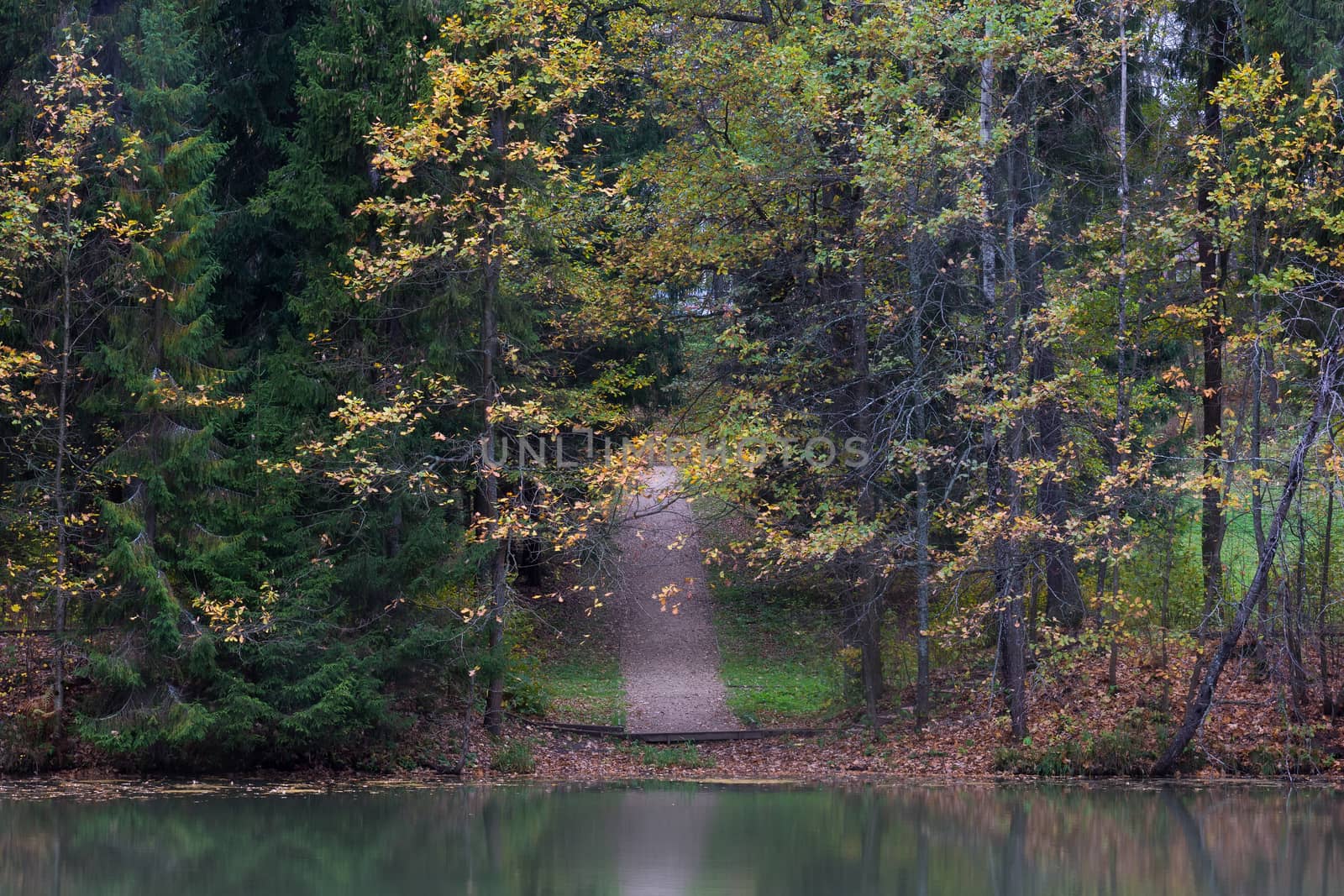 Pictured Reserve Abramtsevo, the bridge is in the reserve.