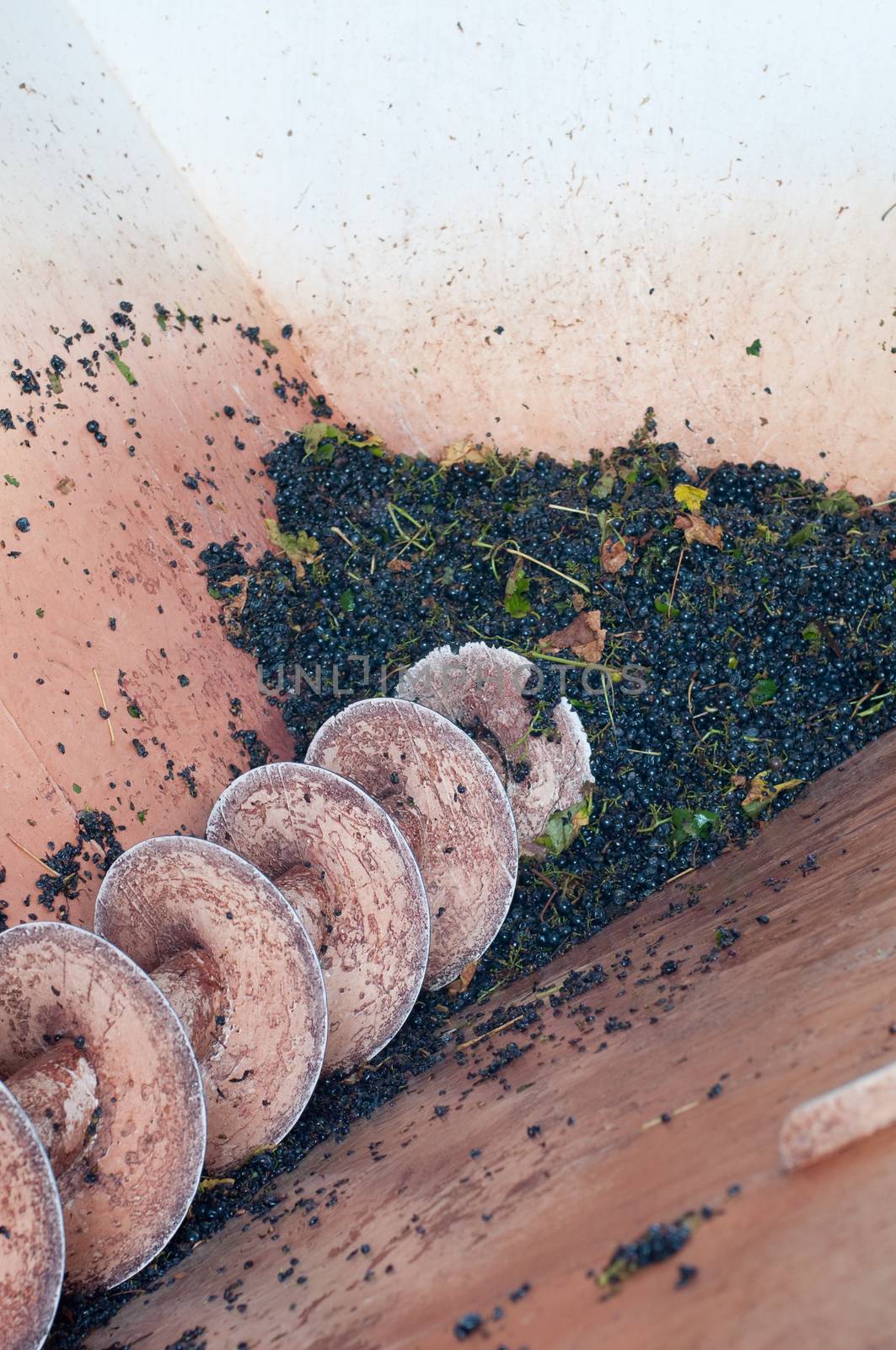 During production of the wine : pressing through a machine called the press