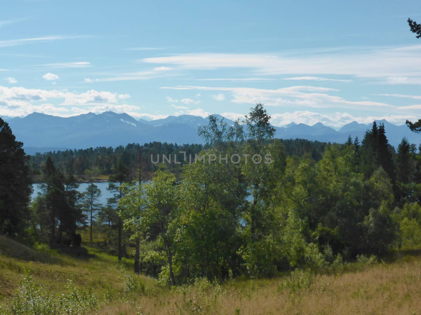 Beautiful countryside from Norway's west coast, close to the town of Molde.