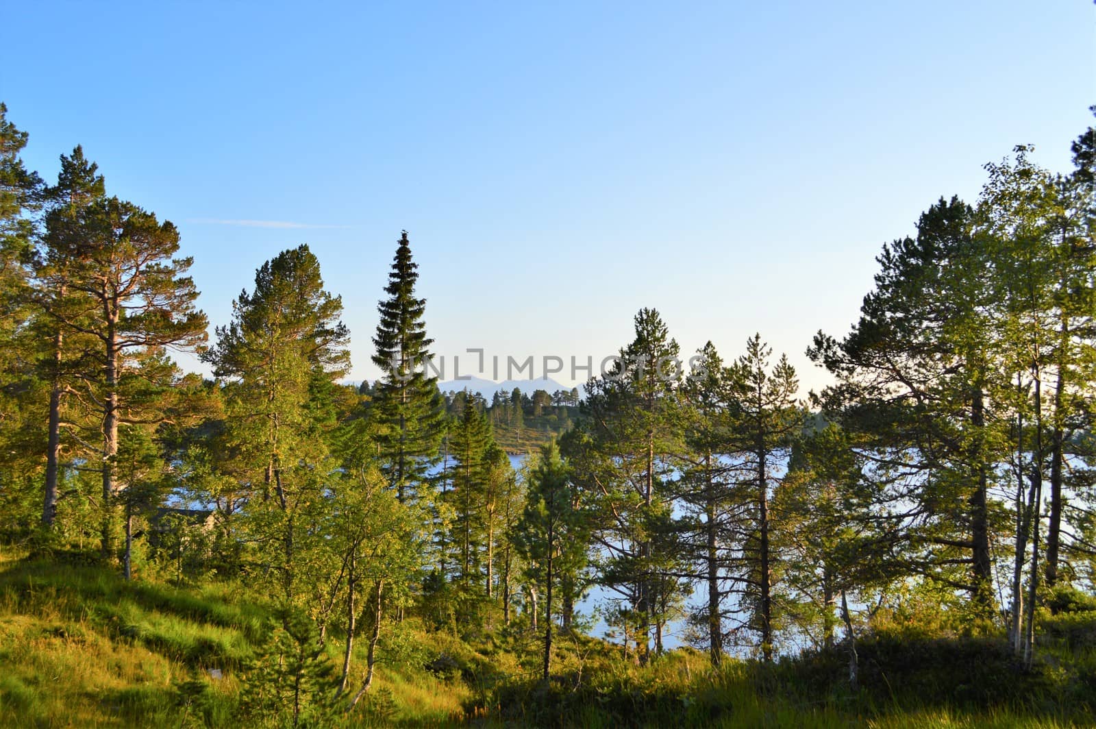 Beautiful countryside from Norway's west coast, close to the town of Molde.