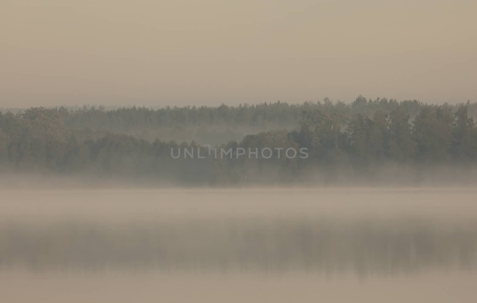 Poland.Bory Tucholskie National Park in autumn , august.Very dense, morning mist float over the lake and surrounding forests..Horizontal view.