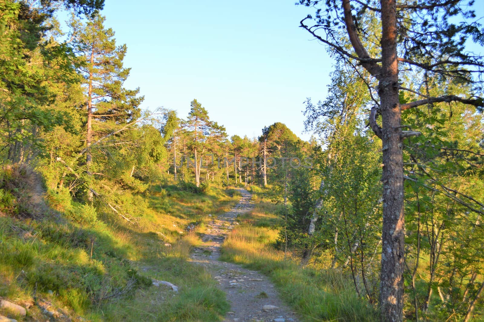 An image of a hiking trail on Norway's west coast.