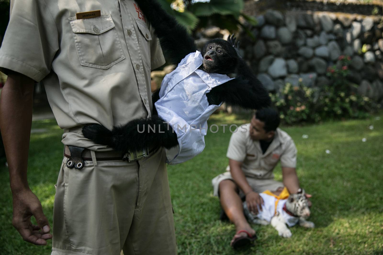 INDONESIA - HINDUISM - BALI ZOO PRAISES ANIMALS ON HOLIDAY by newzulu