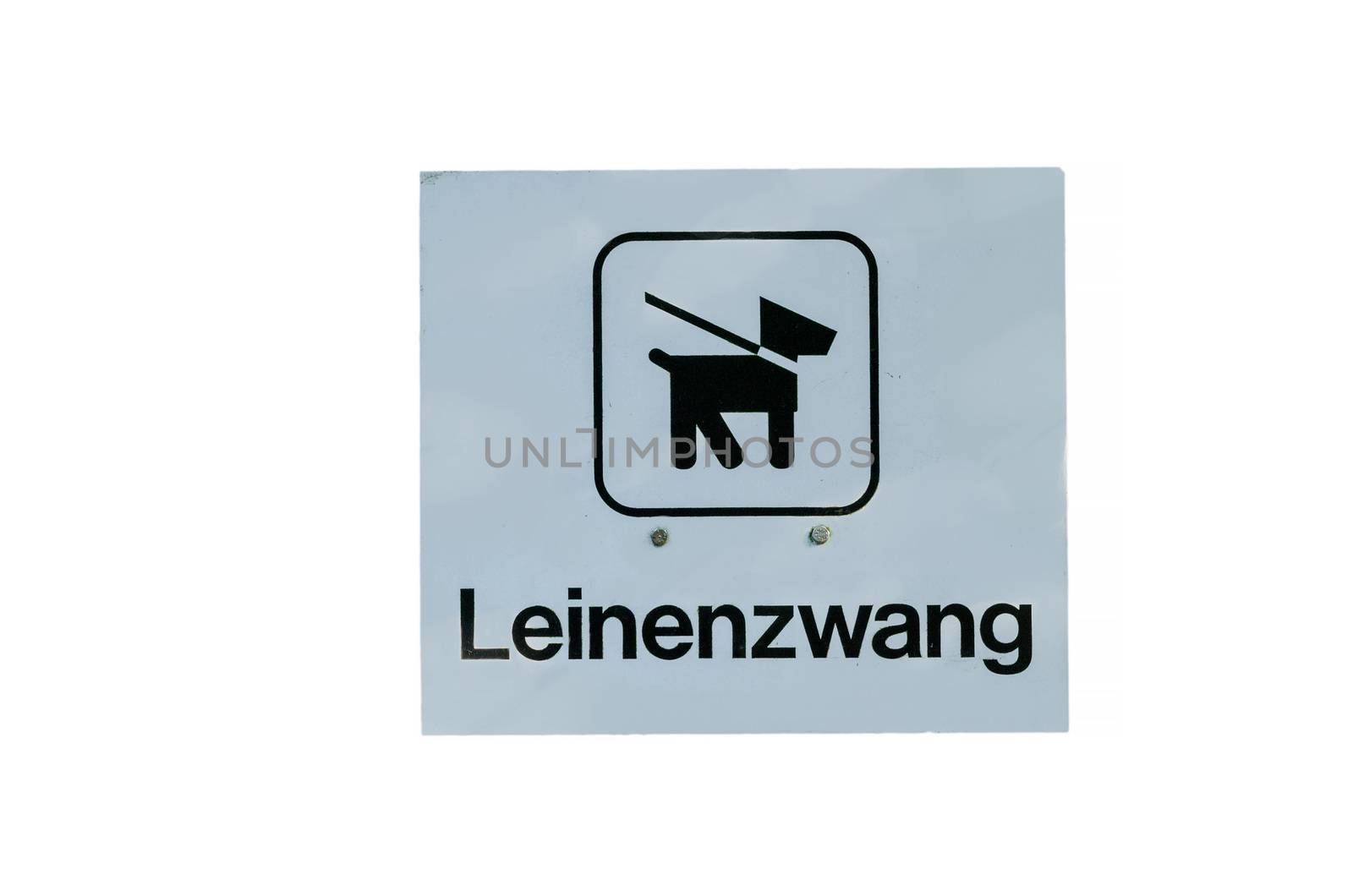 Bid sign dog on leash sign inscription leash against white background.