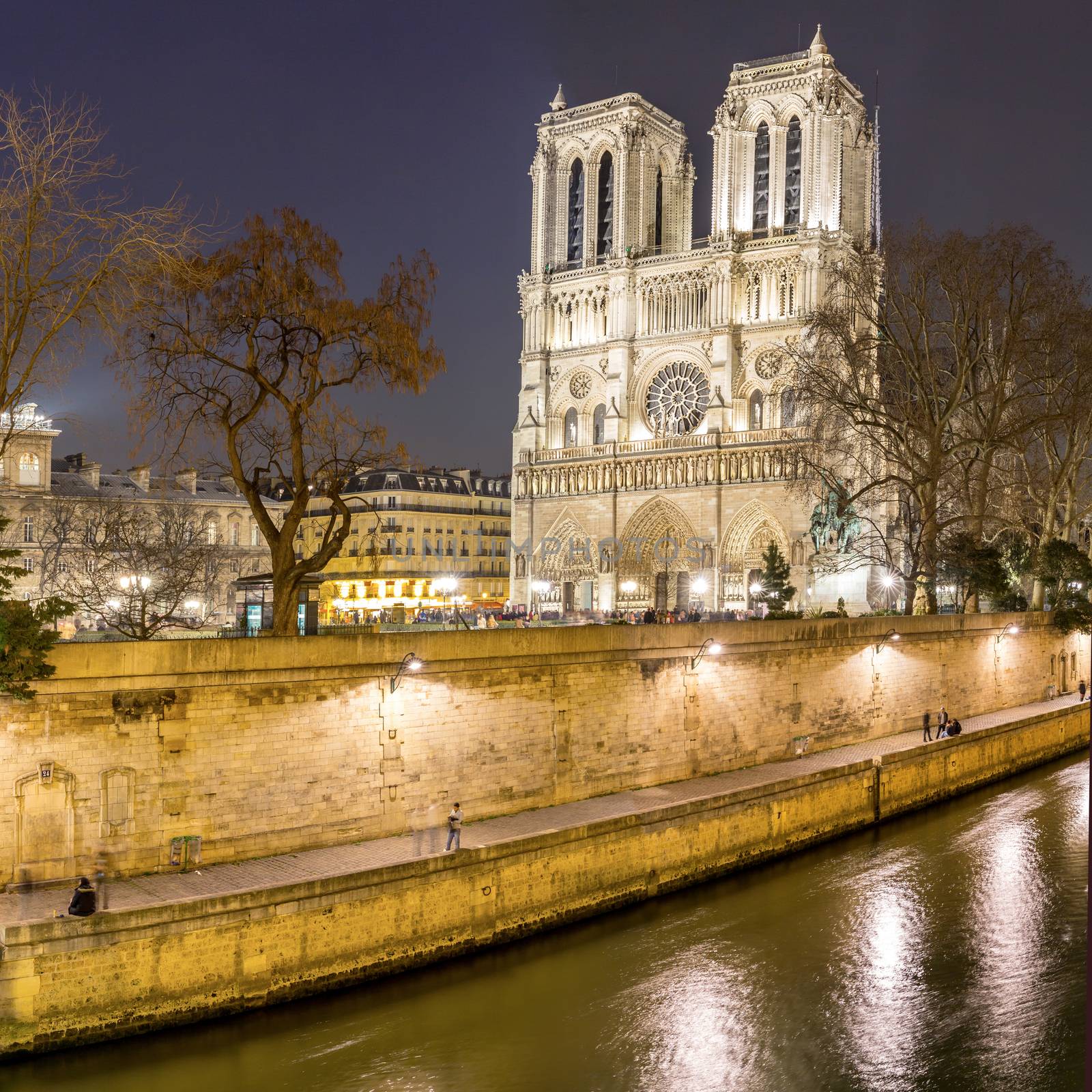 Paris Notre Dame at dusk by vichie81
