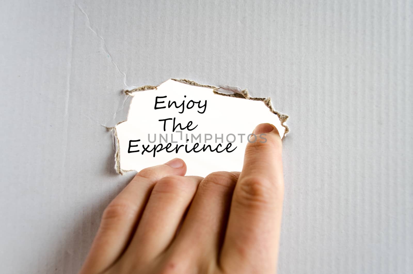 Enjoy the experience text concept isolated over white background