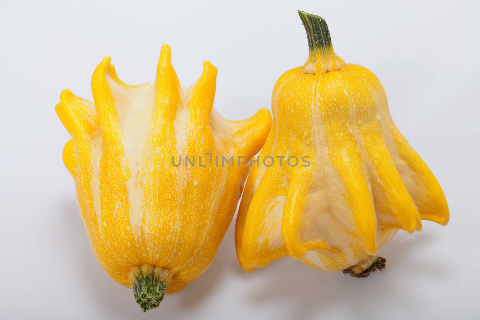 Decorative pumpkin isolated on white background 