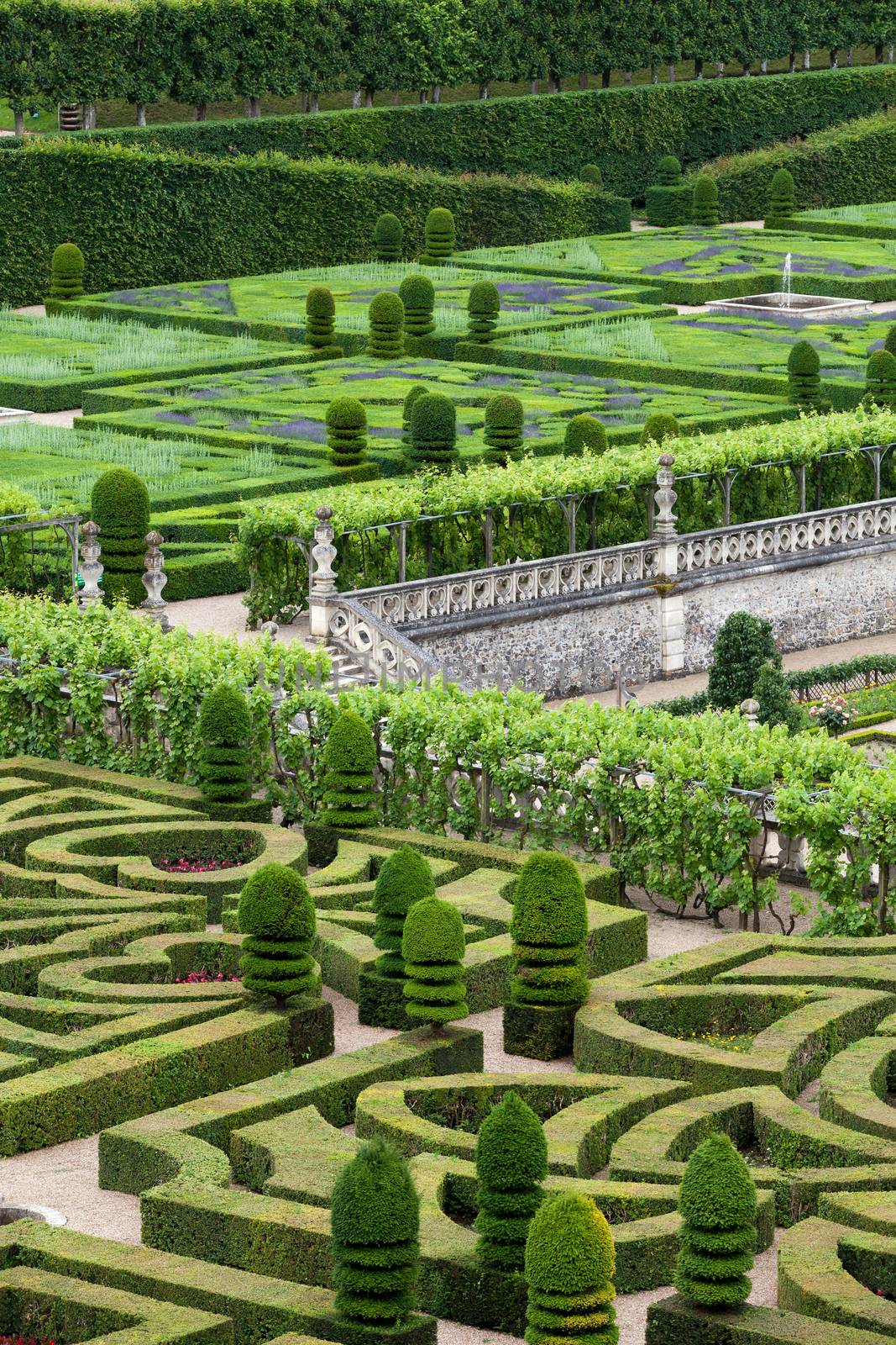 Gardens and Chateau de Villandry  in  Loire Valley in France 