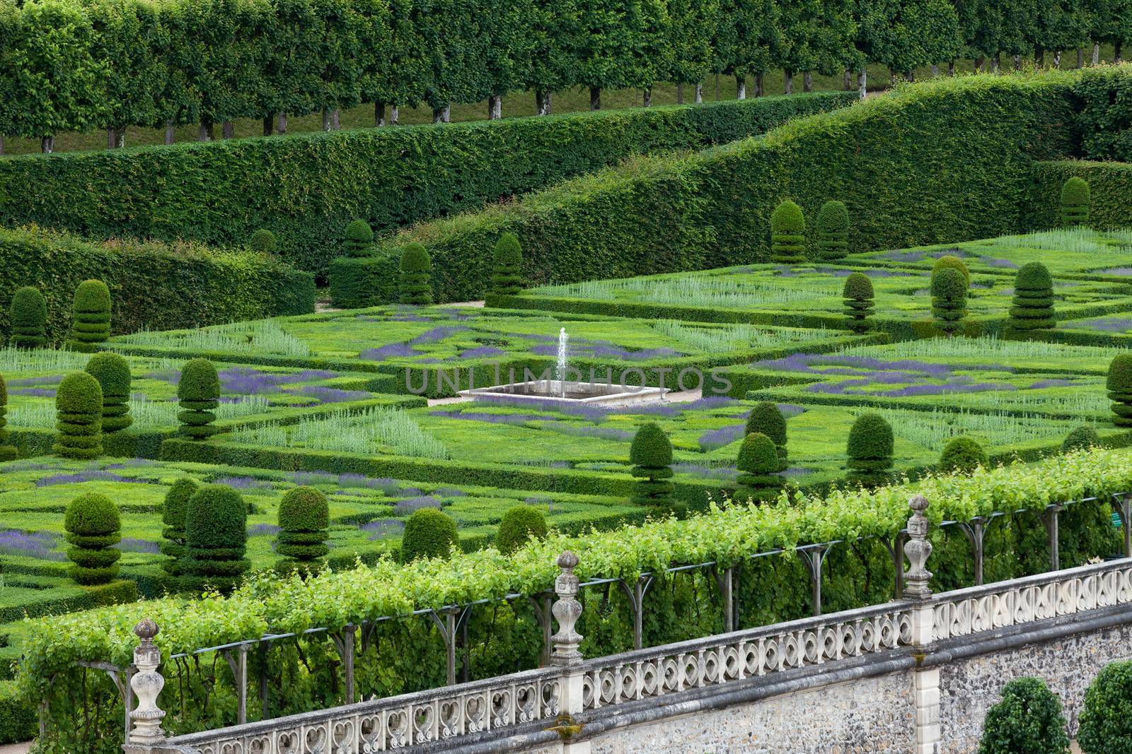 Gardens and Chateau de Villandry  in  Loire Valley in France 