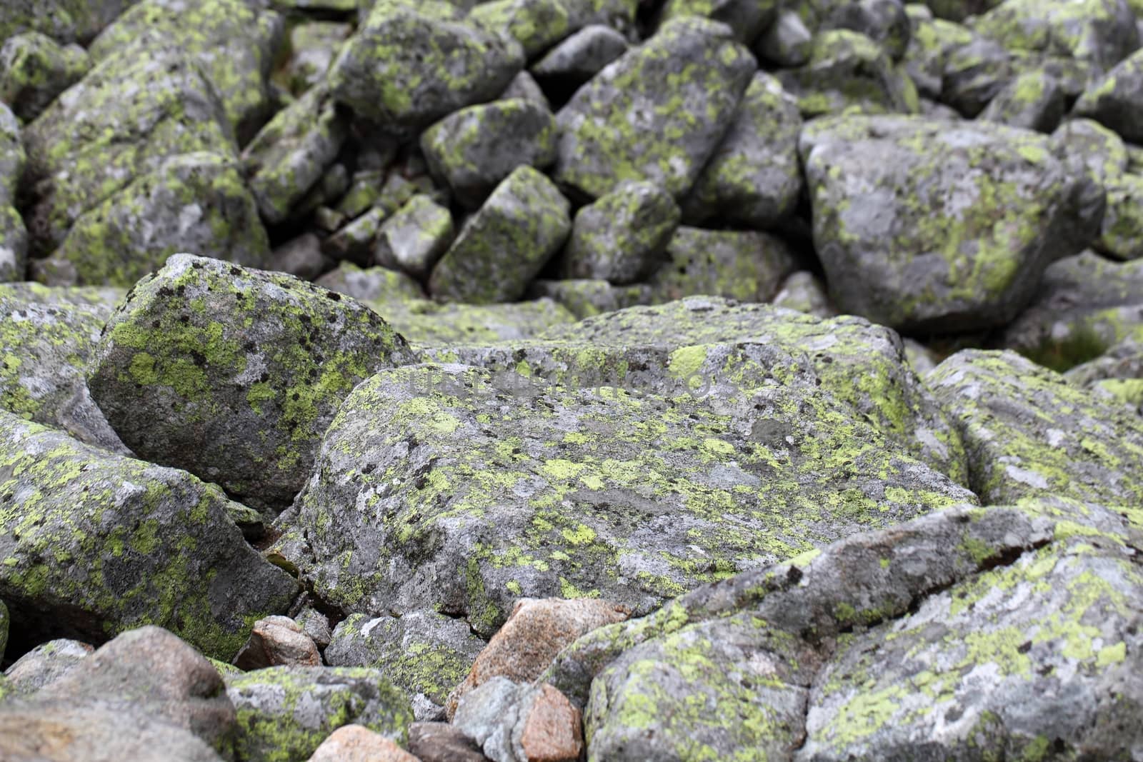 Rocks in the mountains