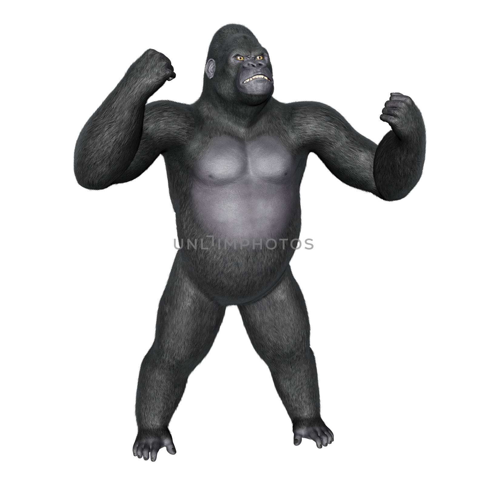 Angry gorilla fighting isolated in white background - 3D render