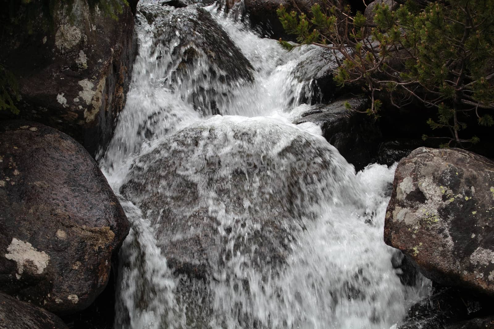 A creek in the Carpathian Mountains in Slovakia.