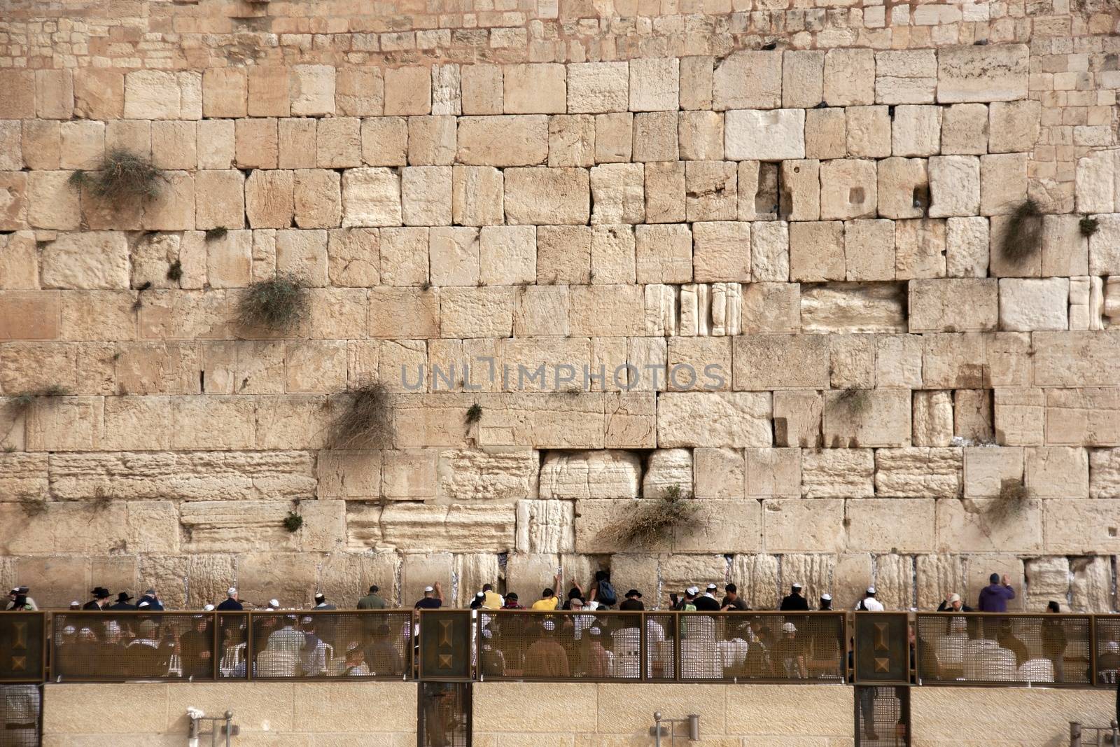 Praying near western wall by javax