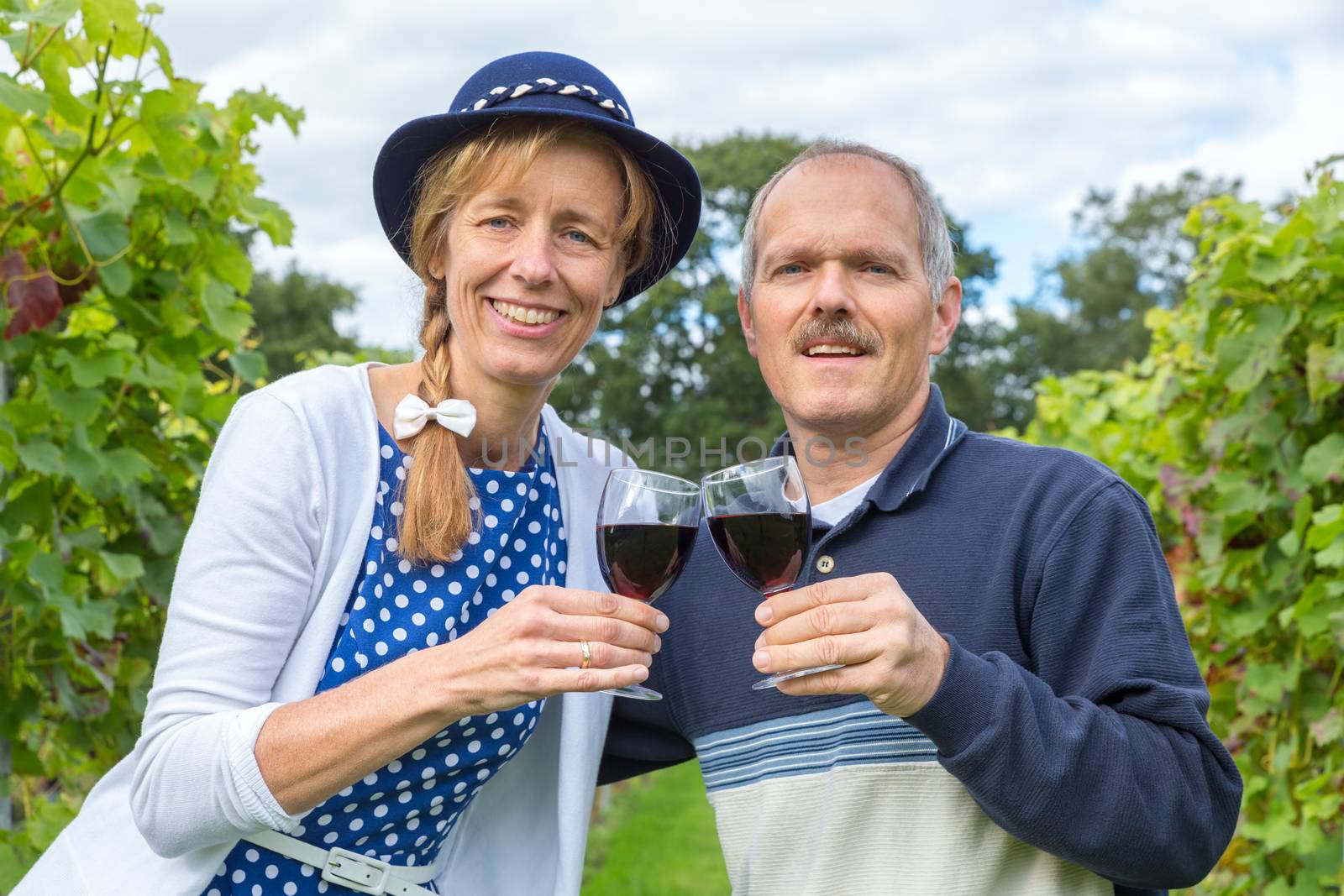 Caucasian middle aged couple toasting with glasses of red wine in vineyard