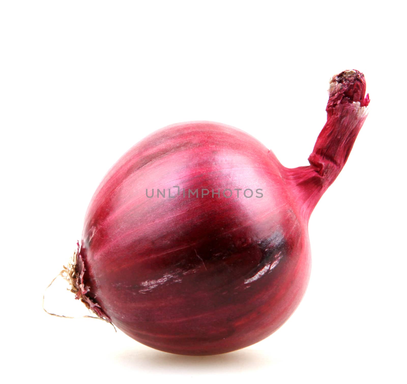 red onion