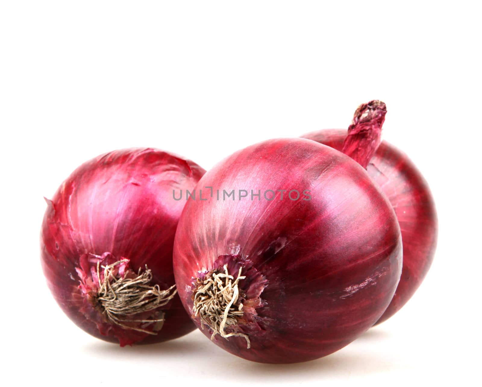 red onion by nenov