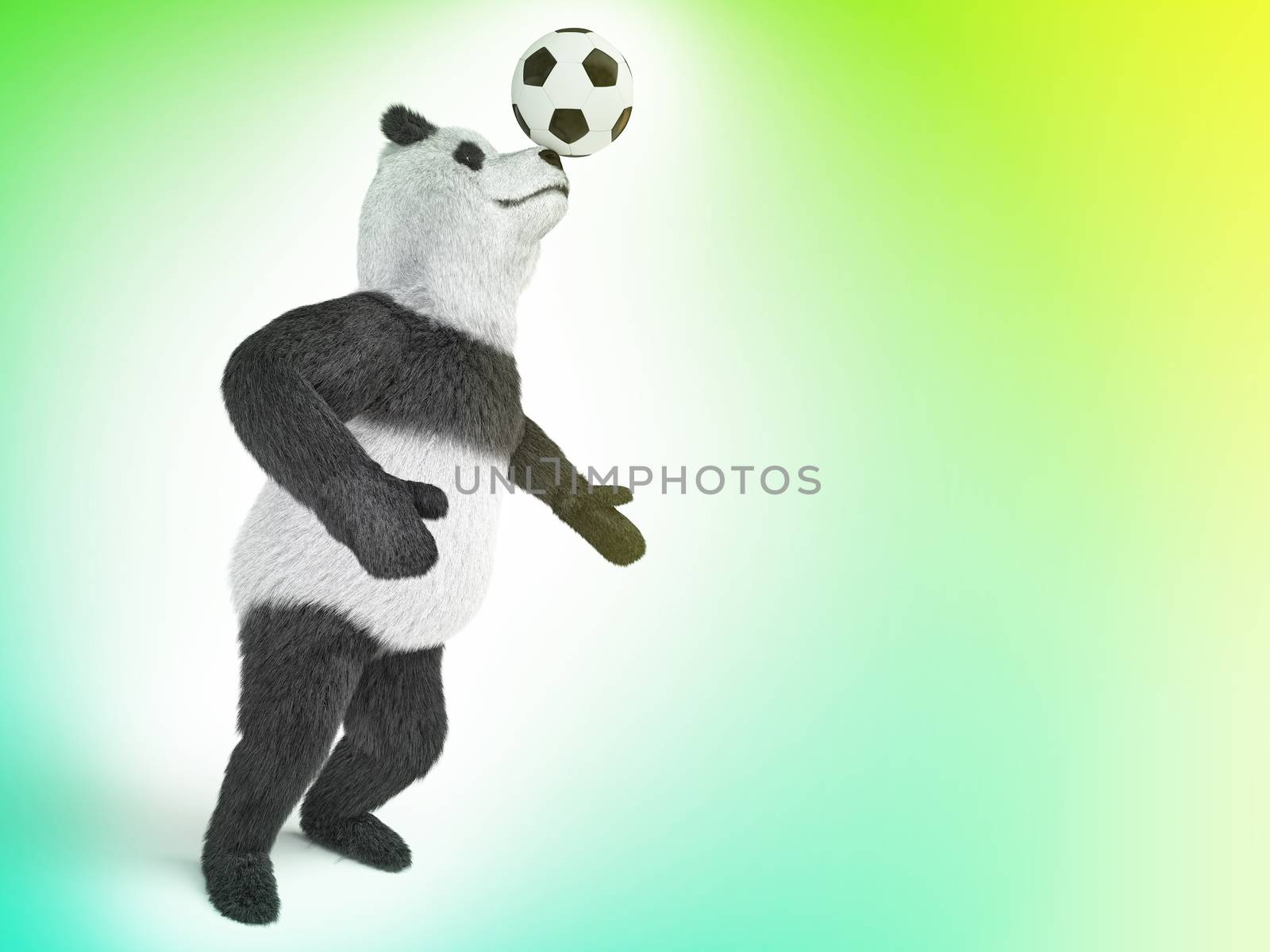 character circus bamboo bear giant panda standing spreading legs to the sides chasing a ball on his nose. involuntary amazing animals by xtate