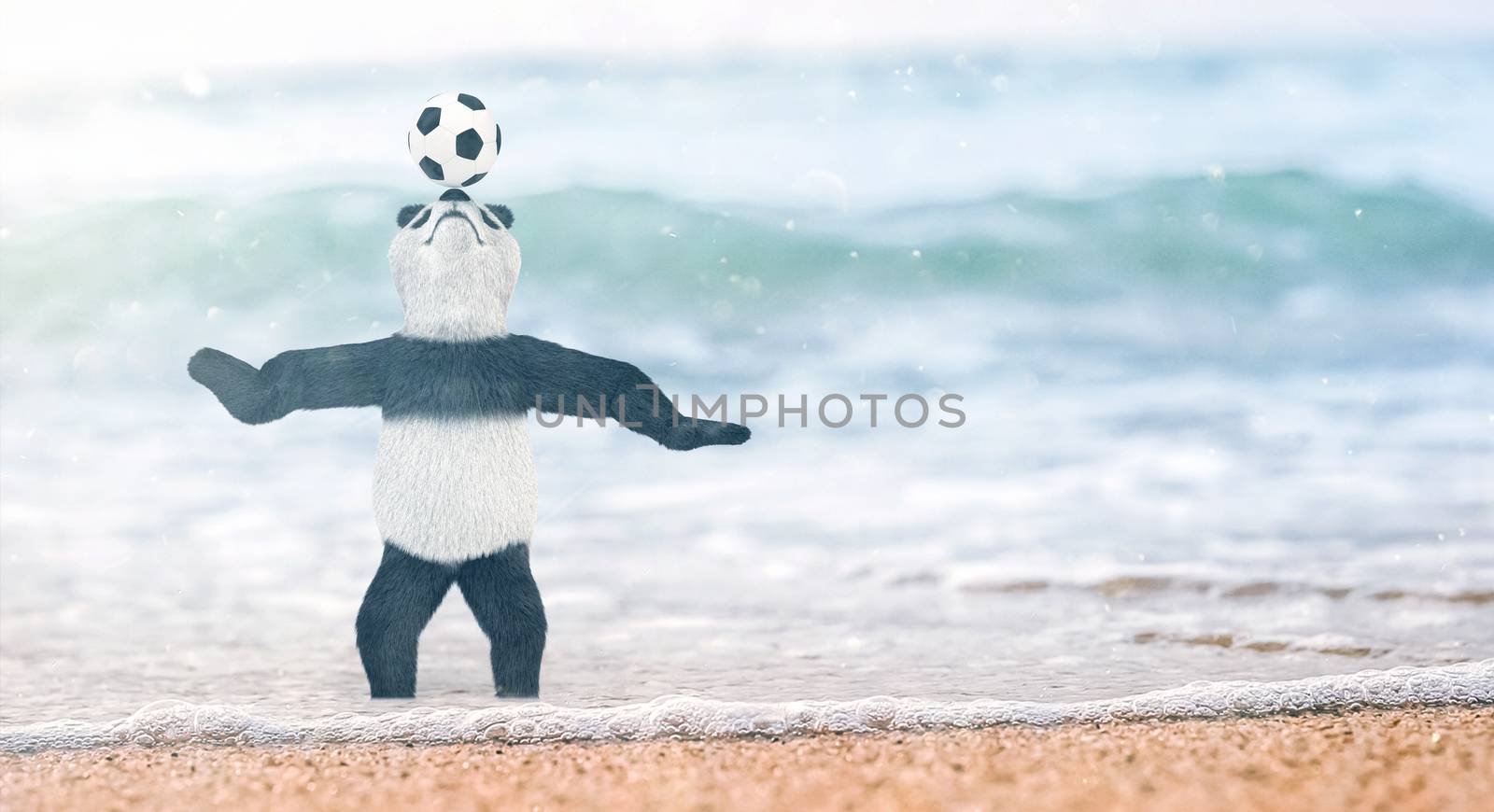 miniature circus bamboo panda teddy bear stands on beach Gulf of Siam to his ankles in water. and chasing ball on nose. soccer player juggling beautiful background blur on the beach