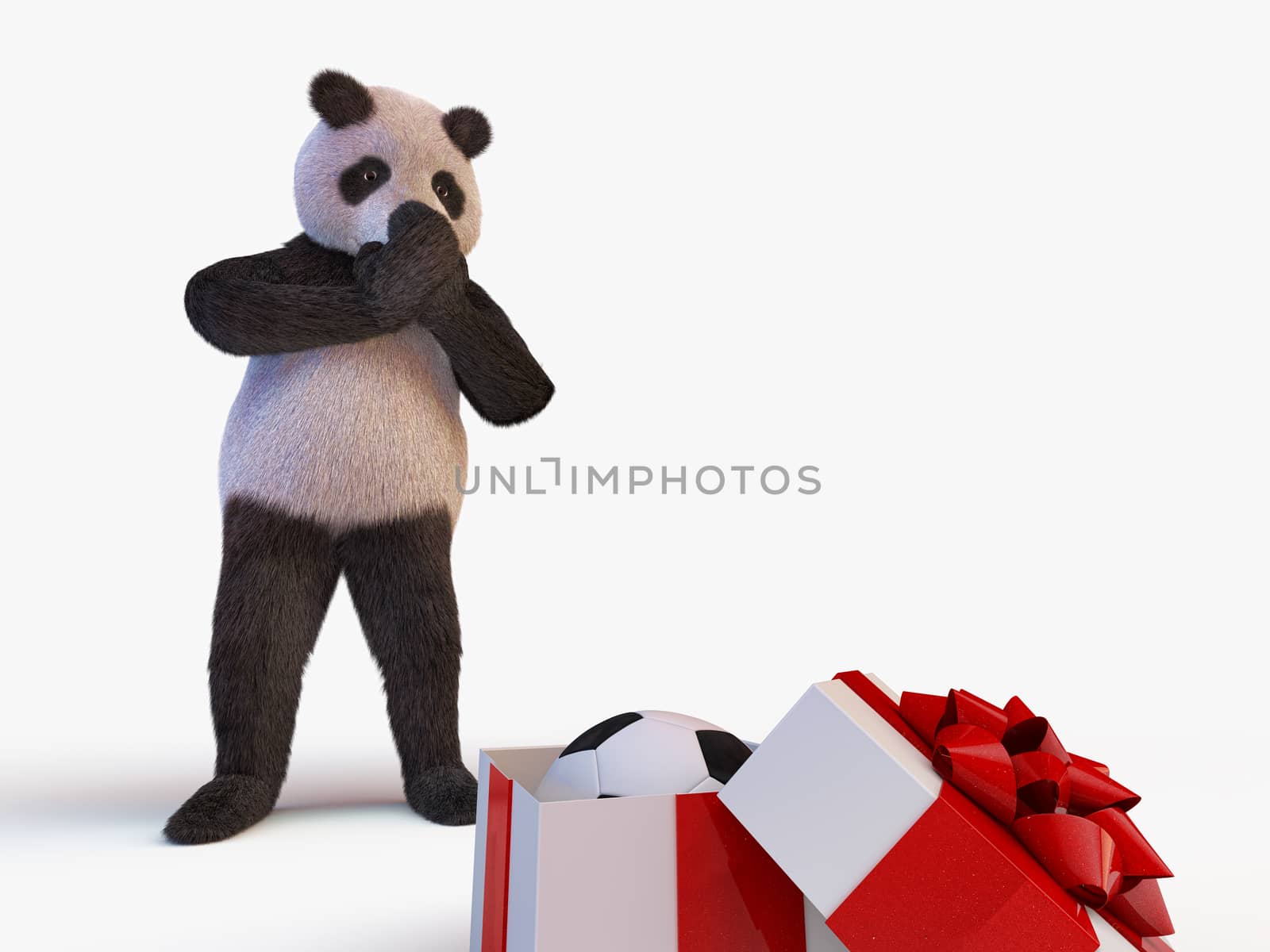 joyful cute protagonist character giant panda bamboo stands and looks at half-open box with a gift inside of which is new soccer ball. surprise birthday closes muzzle paws