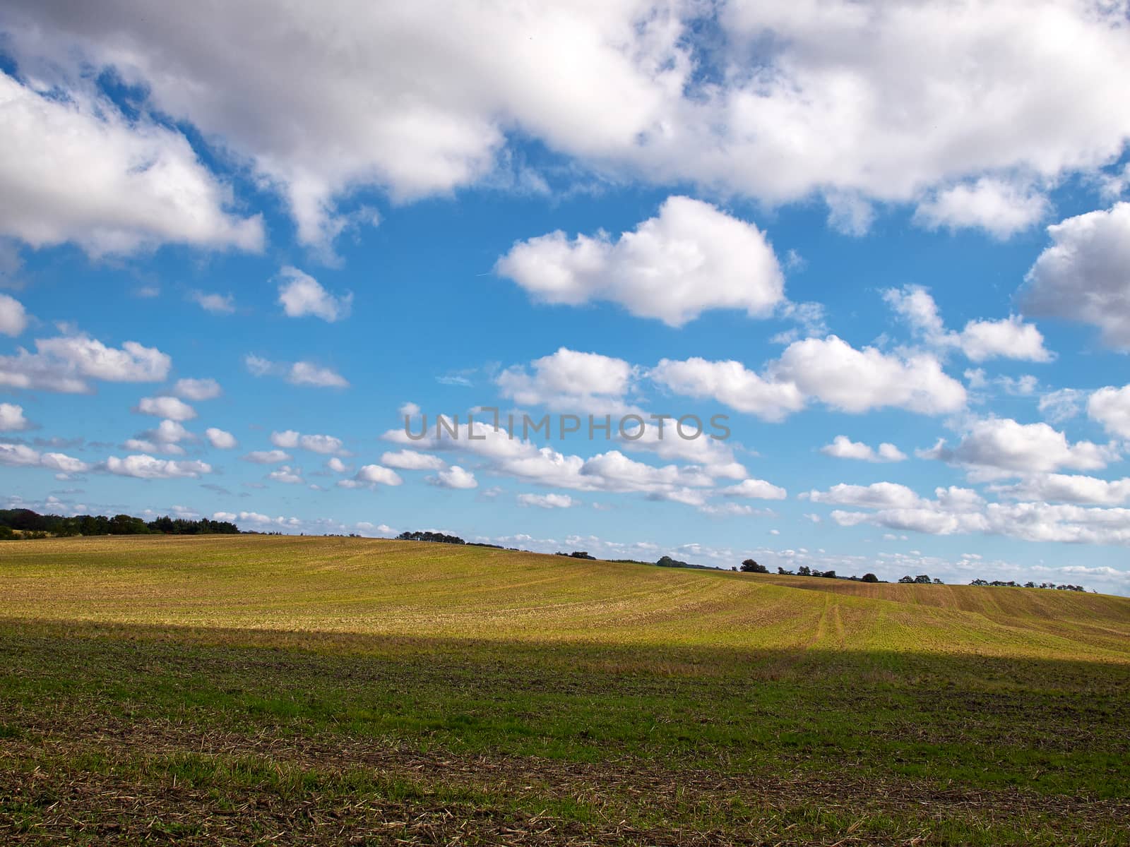 Green field and blue sky with clouds nature background