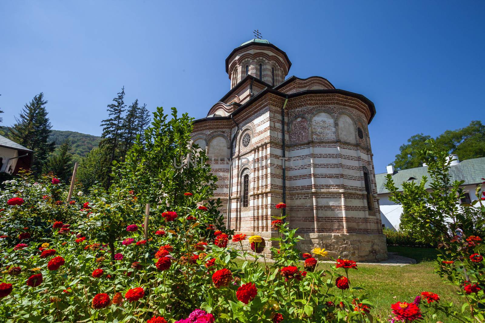 Cozia, Romania - Septemper 2, 2012: Cozia monastery church with red flowers on a sunny summer day, Romania