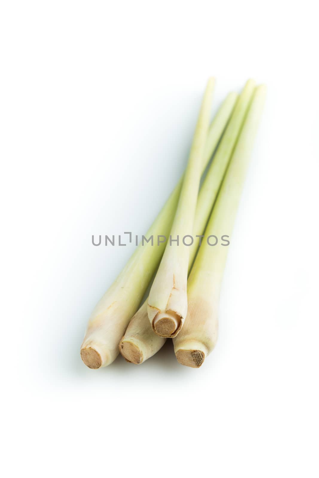 Lemon grass, Oil grass : thai herb isolated on white background.