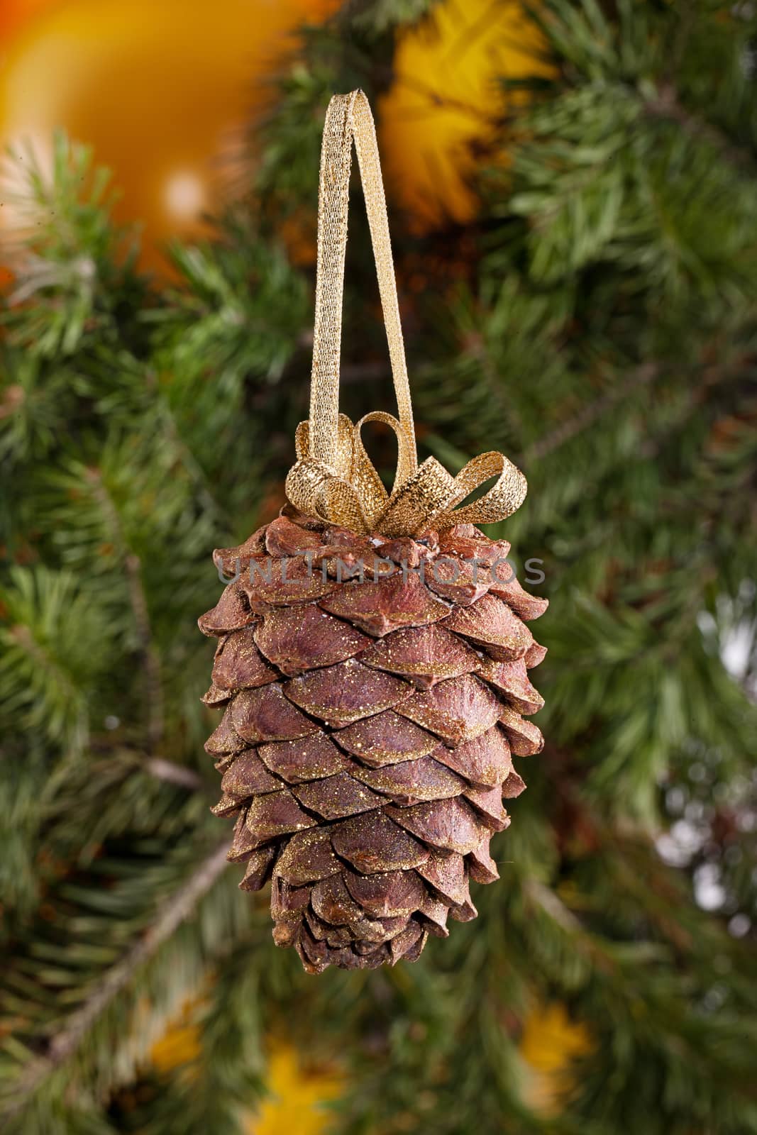 Golden strobile and fir branch