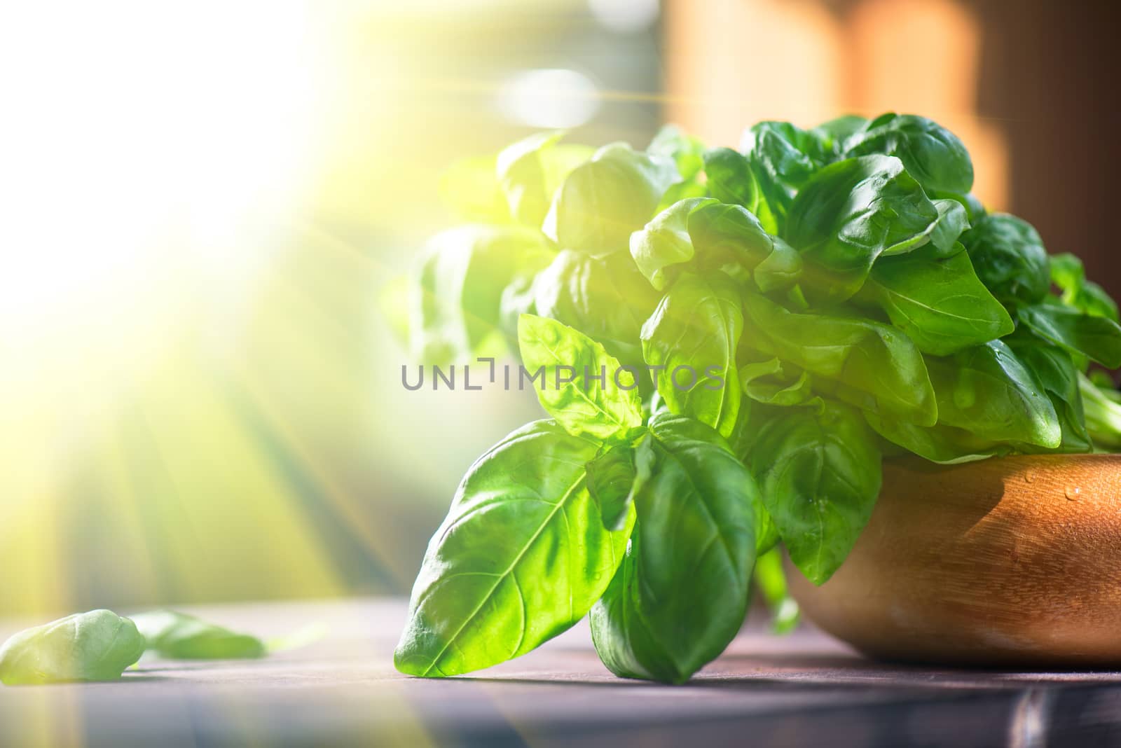Fresh organic basil leaves on a wooden table