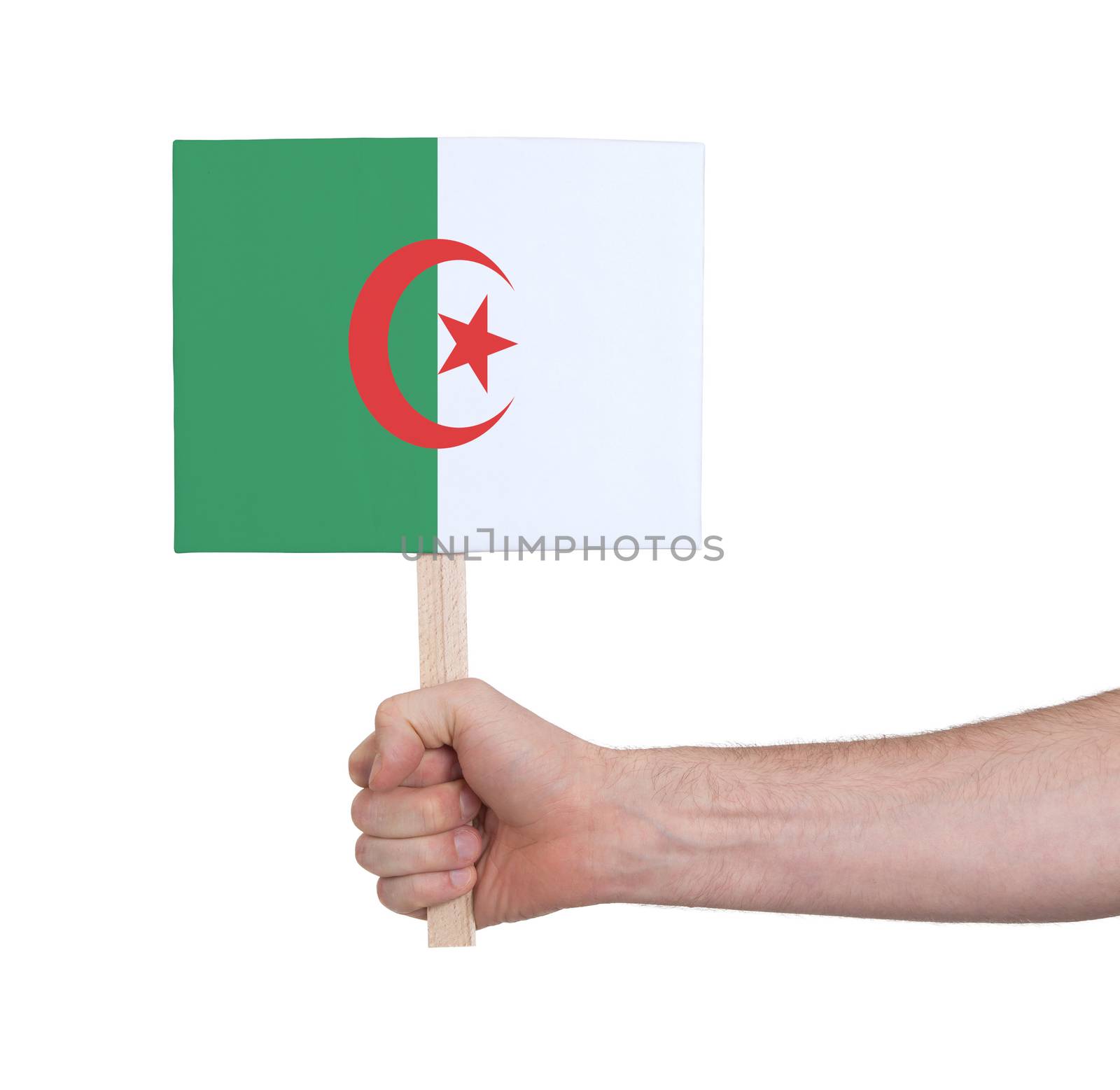 Hand holding small card, isolated on white - Flag of Algeria