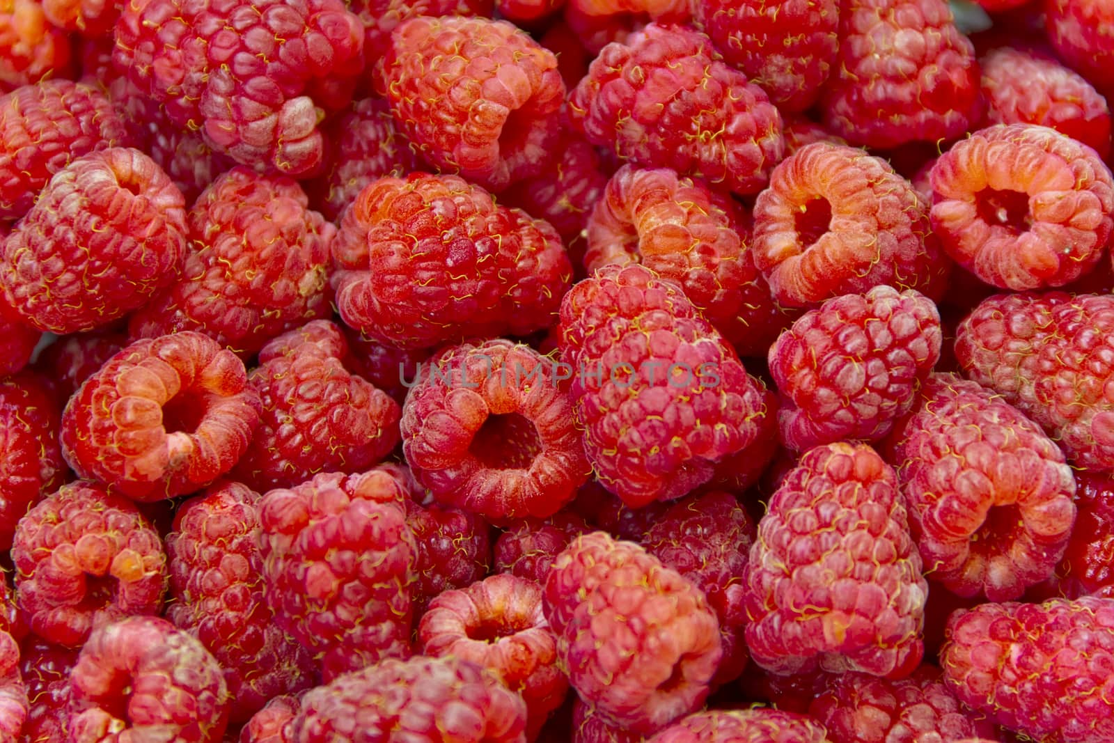 Photo of the background fresh red raspberry