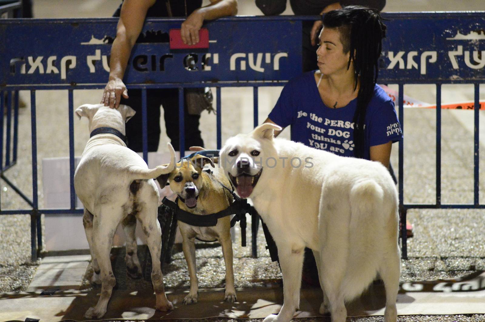 ISRAEL, Tel Aviv: An estimated 10,000 people marched in Tel Aviv for animal rights on October 3, 2015. 	In the largest-ever protest in Israel and the third annual protest under the name The Animal Rights March various struggles concerning animal protection united: wild life, animal testing, fur, street cats and dogs, and farm animals. 