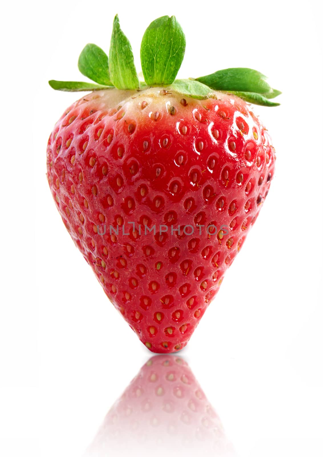 Isolated strawberry by unikpix