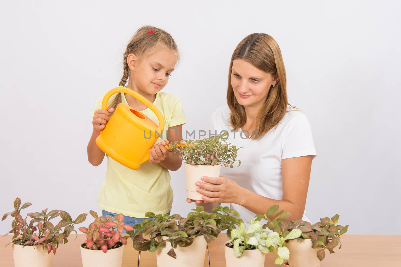 Mom and daughter watering potted plants by Madhourse