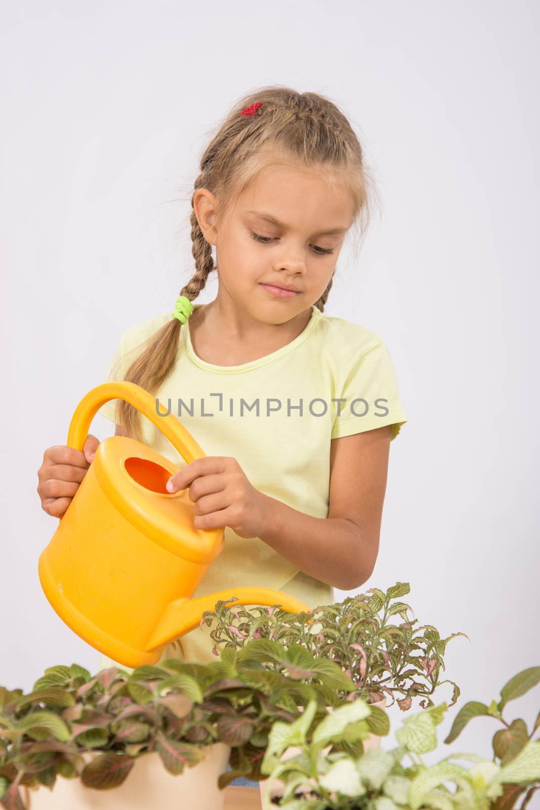 Six-year girl watering flowers watering by Madhourse