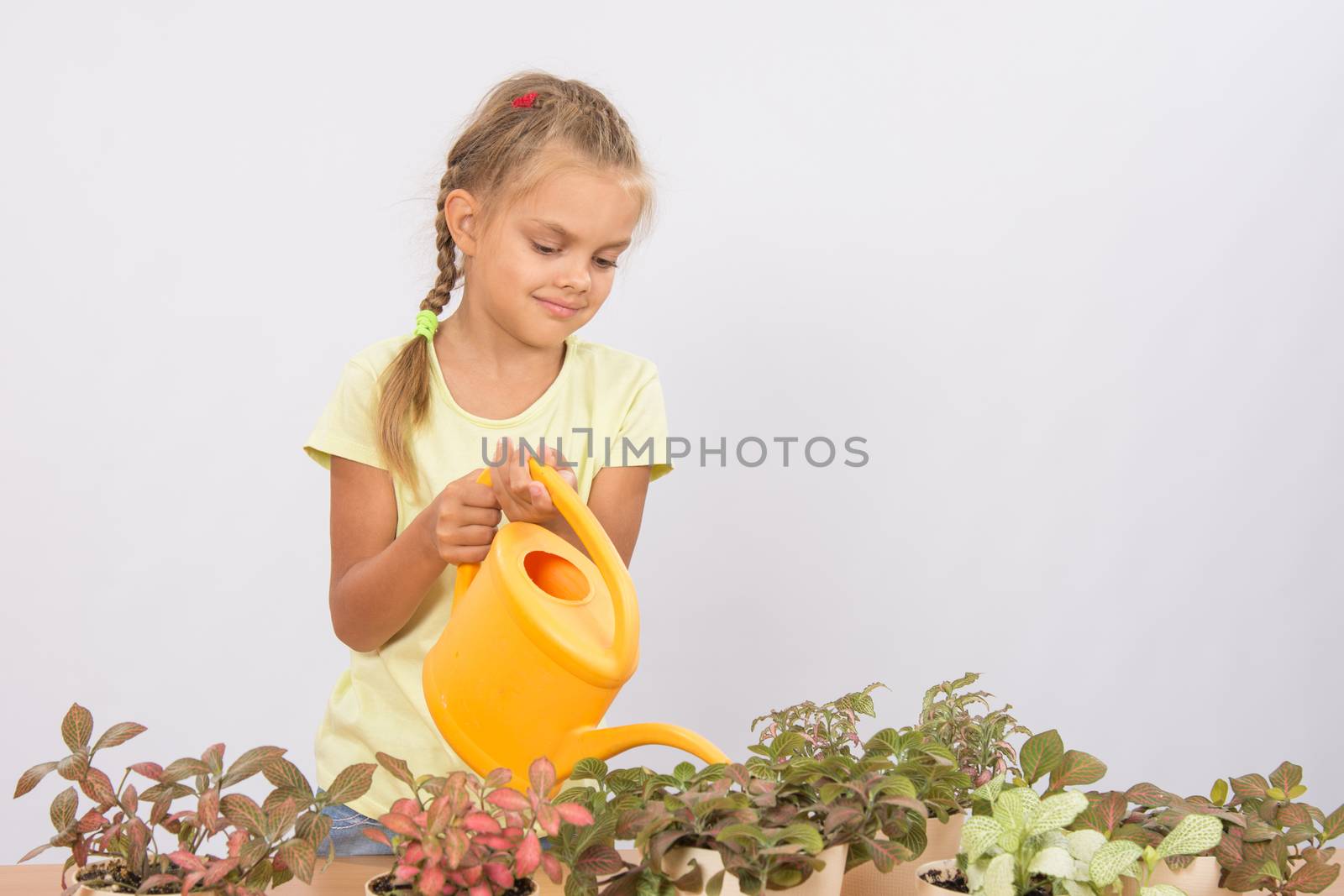 Six year old girl caring for potted flowers by Madhourse