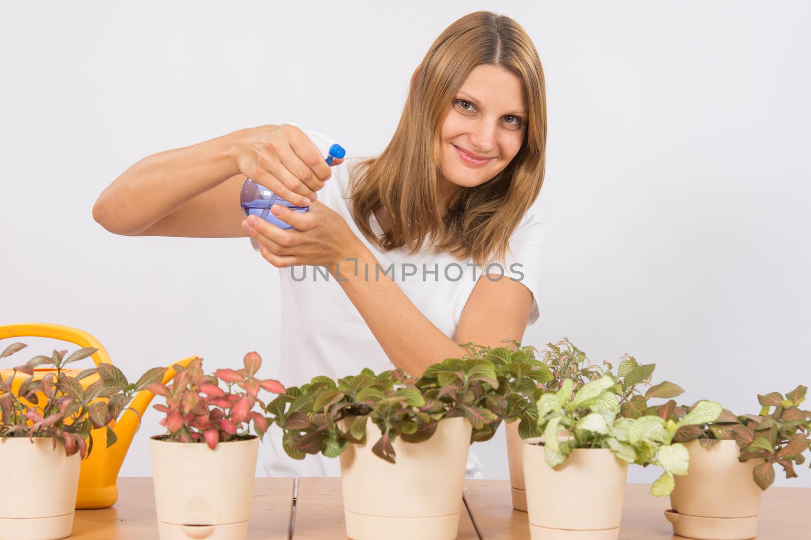 Young girl Europeans care and watering potted plants Fitton