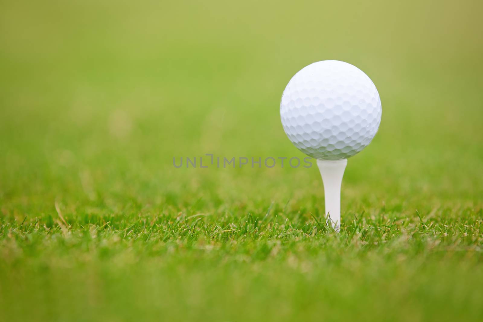 Golf ball on a green lawn. Close-up photo