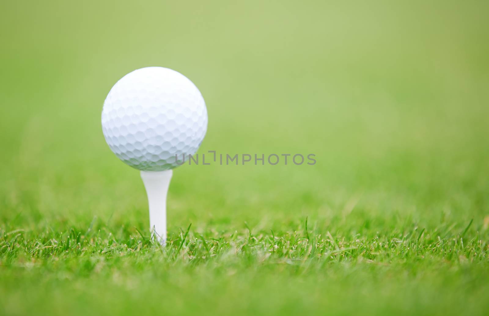 Golf ball on a green lawn. Close-up photo