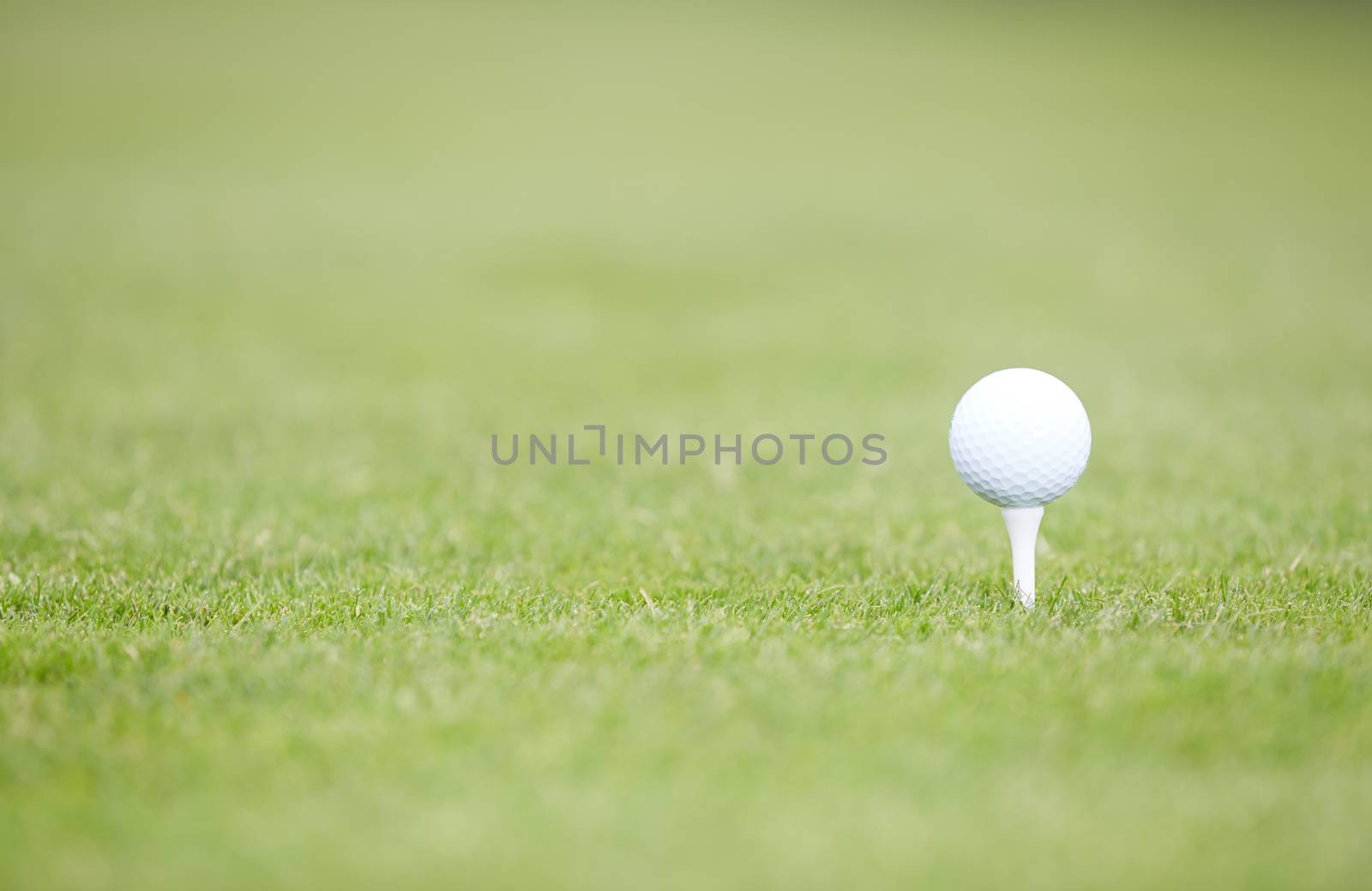 Golf ball on a green lawn. Close-up photo