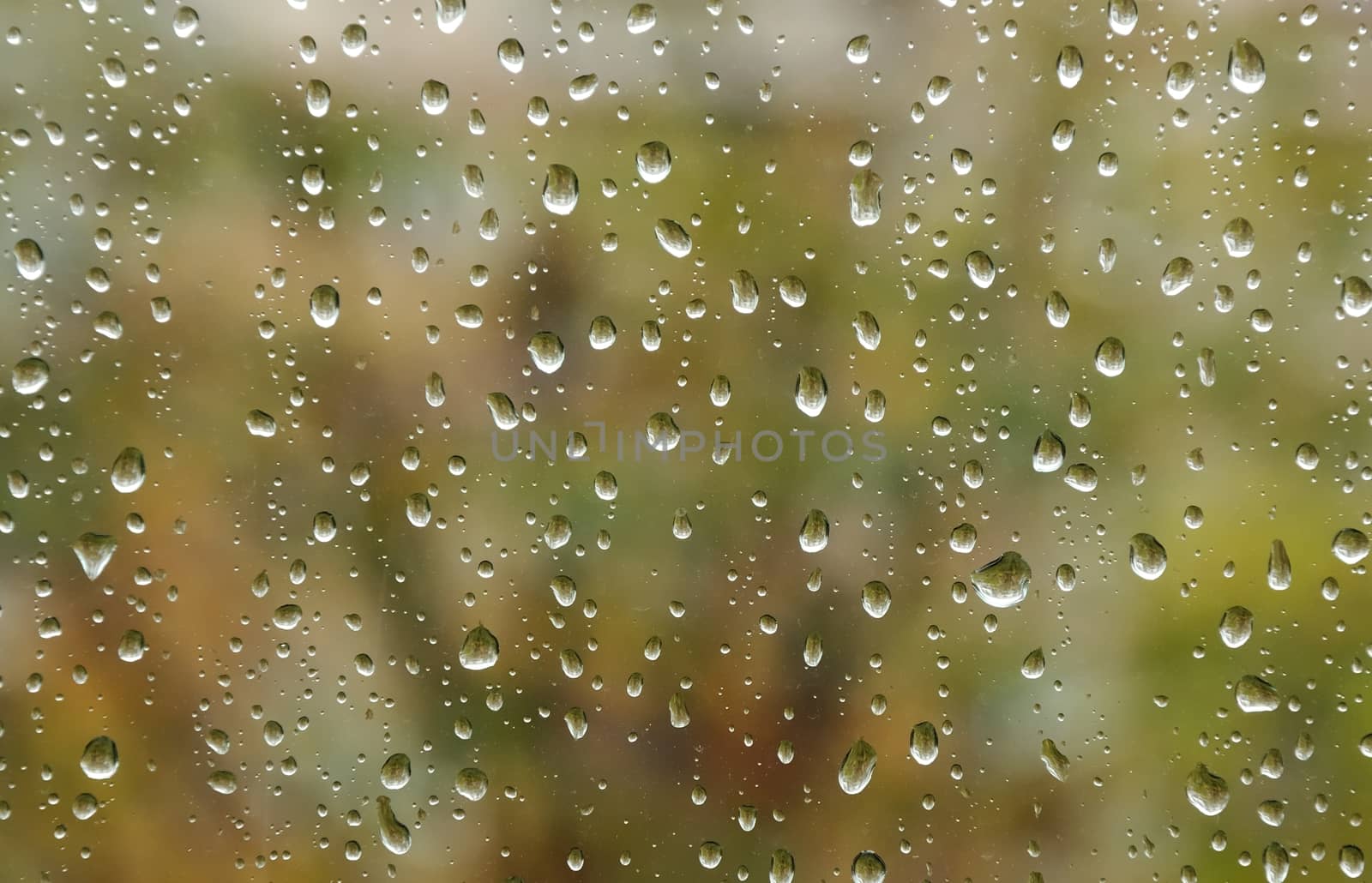 raindrops on window nice bokeh in background