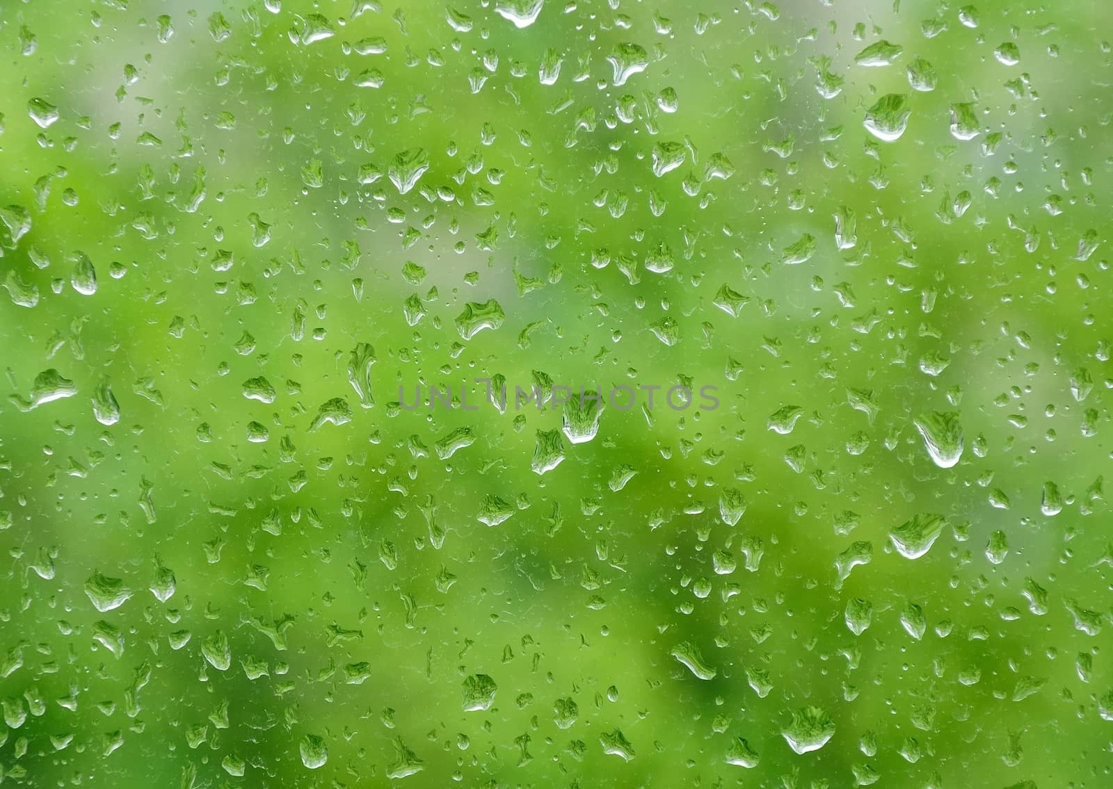 raindrops on window nice bokeh in background
