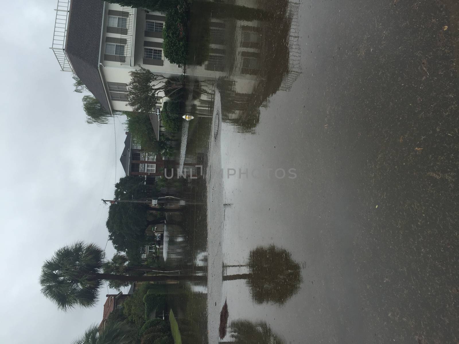 UNITED-STATES, Charleston : Heavy rains dropped nearly 17 inches on the state capital of Charleston in a 17 hour span when catastrophic floods ravaged much of South Carolina on October 4, 2015. At least nine people died in South Carolina as a result of the flooding and one person has died in neighboring North Carolina. The storms also left some 30,000 residents without power and shut down many major roads. Governor Nikki Haley called the rains the worst in 1,000 years. 