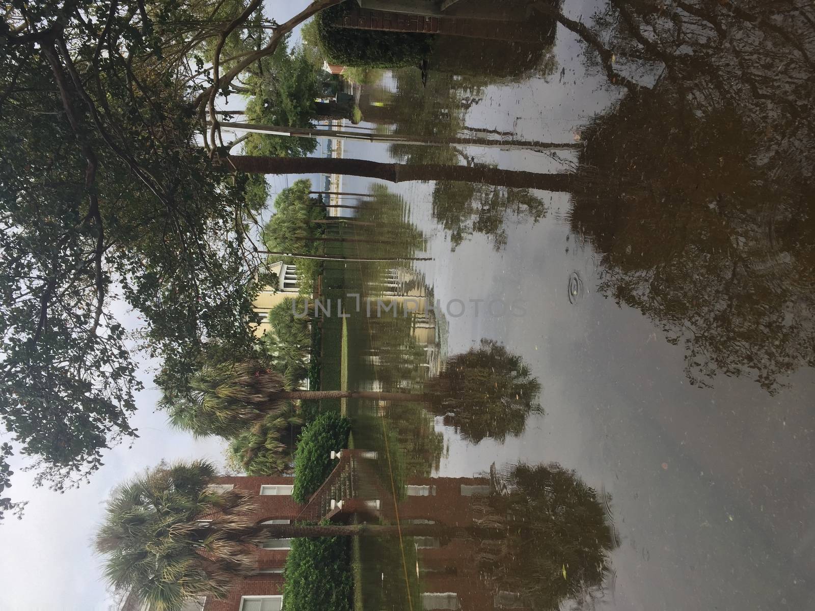 UNITED-STATES, Charleston : Heavy rains dropped nearly 17 inches on the state capital of Charleston in a 17 hour span when catastrophic floods ravaged much of South Carolina on October 4, 2015. At least nine people died in South Carolina as a result of the flooding and one person has died in neighboring North Carolina. The storms also left some 30,000 residents without power and shut down many major roads. Governor Nikki Haley called the rains the worst in 1,000 years. 