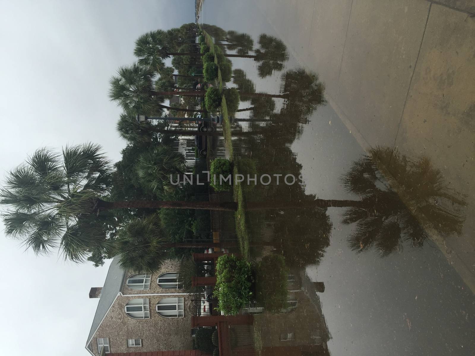 UNITED-STATES, Charleston : A rain water puddle overflows a road when catastrophic floods ravaged much of South Carolina on October 4, 2015. Heavy rains dropped nearly 17 inches on the state capital of Charleston in a 17 hour span. At least nine people died in South Carolina as a result of the flooding and one person has died in neighboring North Carolina. The storms also left some 30,000 residents without power and shut down many major roads. Governor Nikki Haley called the rains the worst in 1,000 years. 