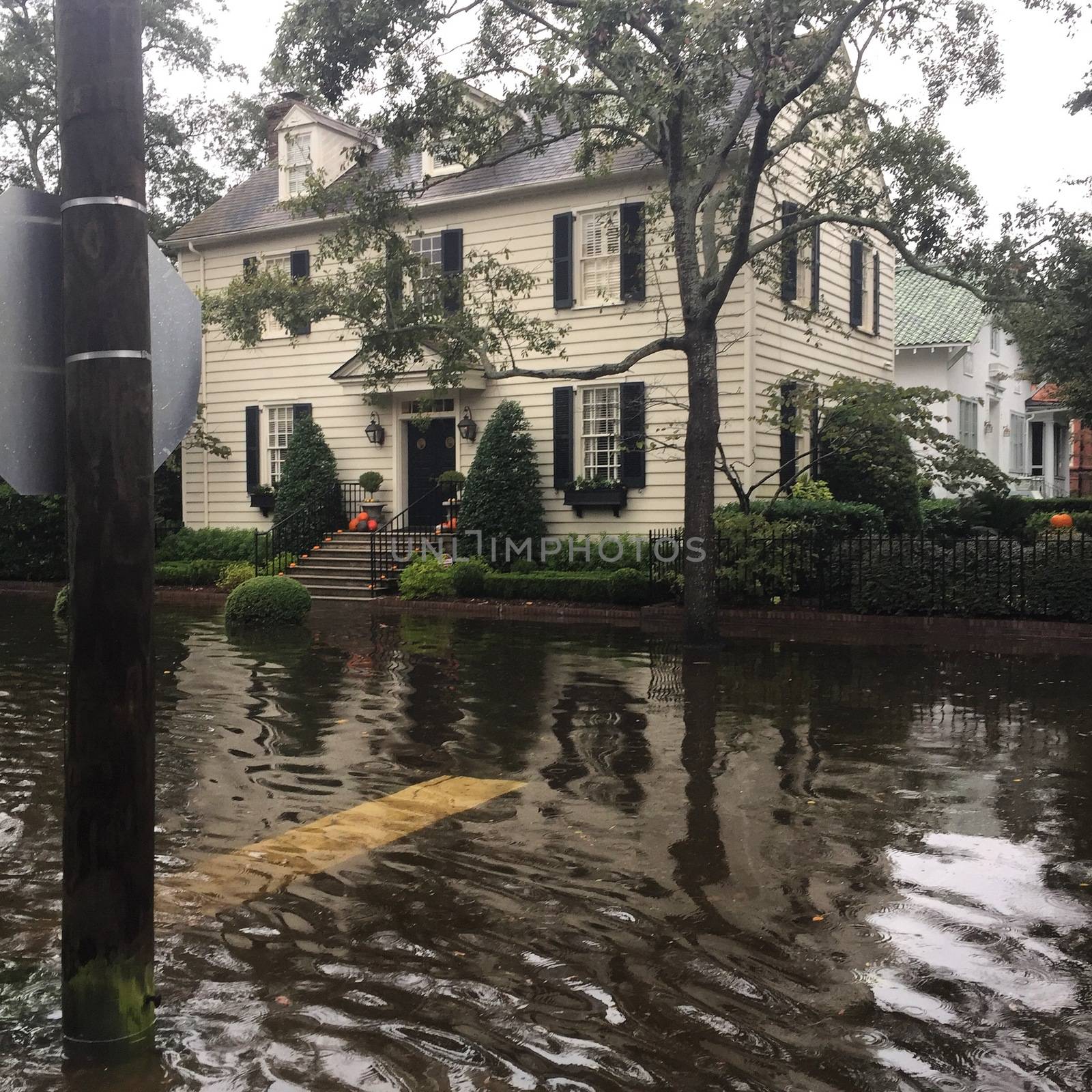 UNITED-STATES - FLOODING - SOUTH CAROLINA  by newzulu