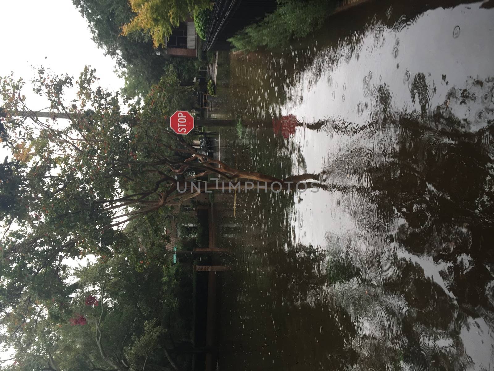 UNITED-STATES, Charleston : Heavy rains dropped nearly 17 inches on the state capital of Charleston in a 17 hour span when catastrophic floods ravaged much of South Carolina on October 4, 2015. At least nine people died in South Carolina as a result of the flooding and one person has died in neighboring North Carolina. The storms also left some 30,000 residents without power and shut down many major roads. Governor Nikki Haley called the rains the worst in 1,000 years. 